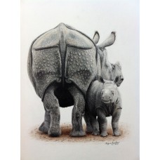Indian One-horned Rhino