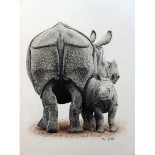 Indian One-horned Rhino